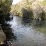 River Cochiguas, Elqui Valley (1)